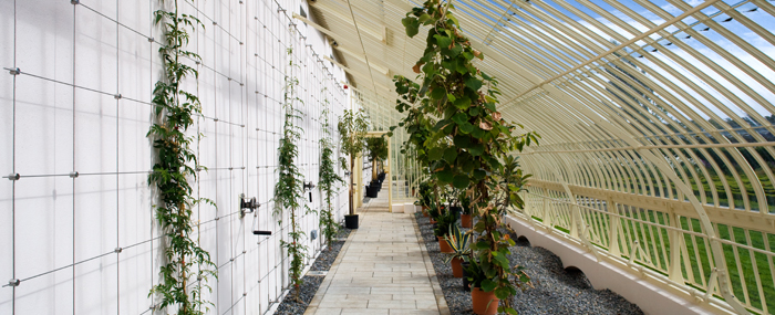 THE PEACH HOUSE, ÁRAS AN UACHTARÁIN